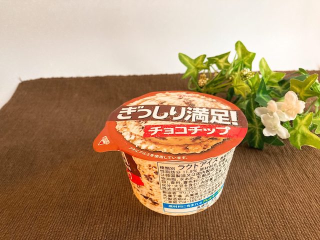 ぎっしり満足！チョコチップ