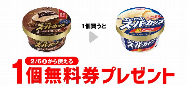 明治 エッセル スーパーカップ 大人ラベル とことんショコラ