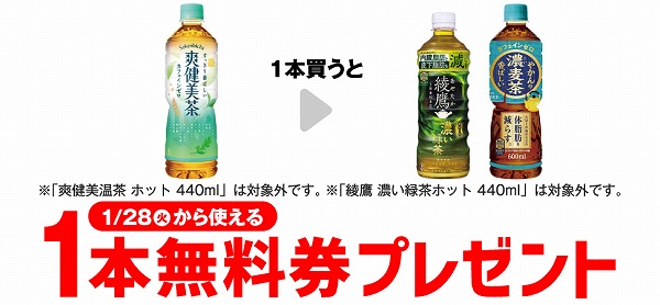 爽健美茶 600ml ※「爽健美温茶 ホット 440ml」は対象外